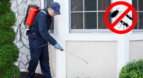 Araklı Kene İlaçlama böcek ilaçlama ve haşere kontrolü — ilaclama-tr.com